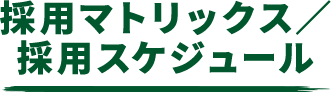 採用マトリックス／採用スケジュール