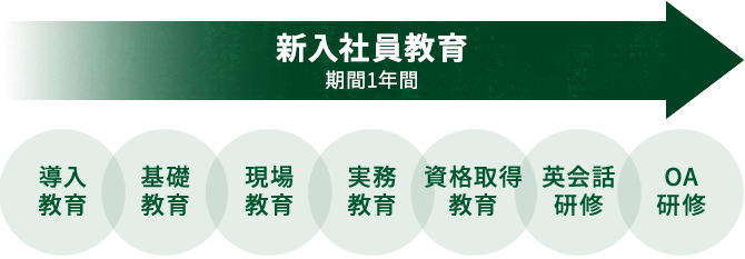 新入社員教育 期間1年間 導入教育・基礎教育・現場教育・実務教育・資格取得教育・英会話研修・OA研修