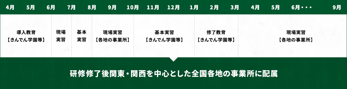 入社後の研修カリキュラム